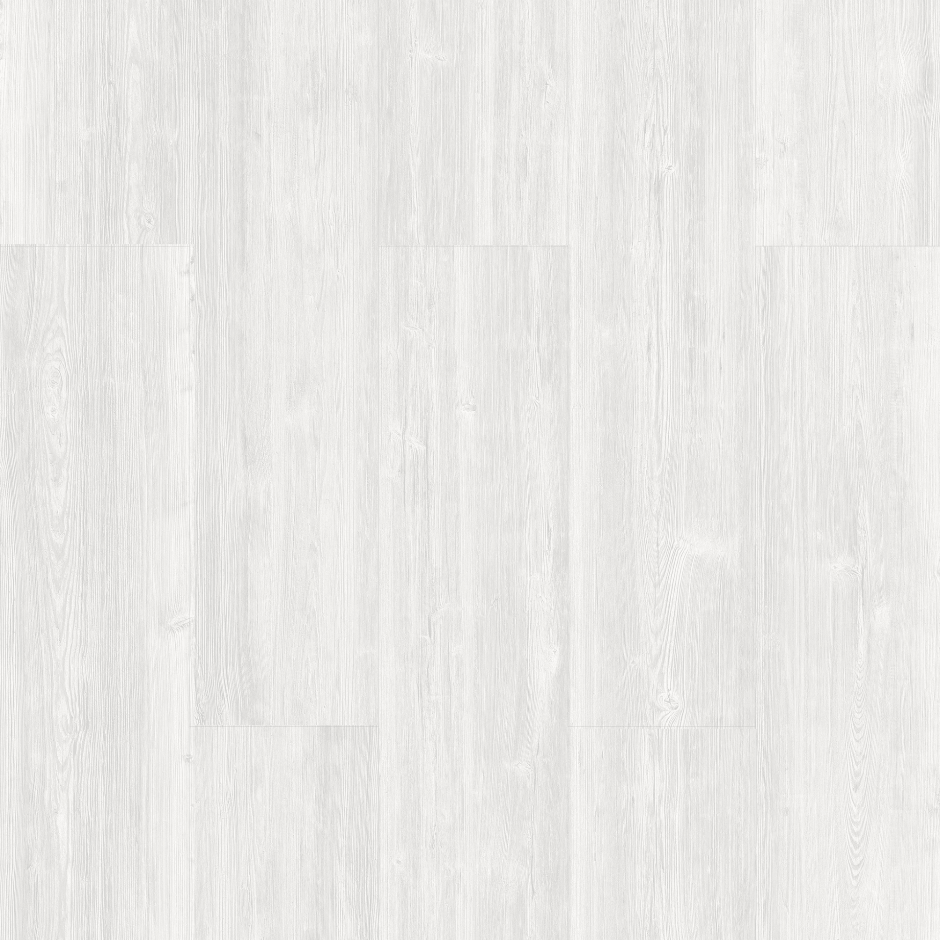 Batı Çam – 702 2