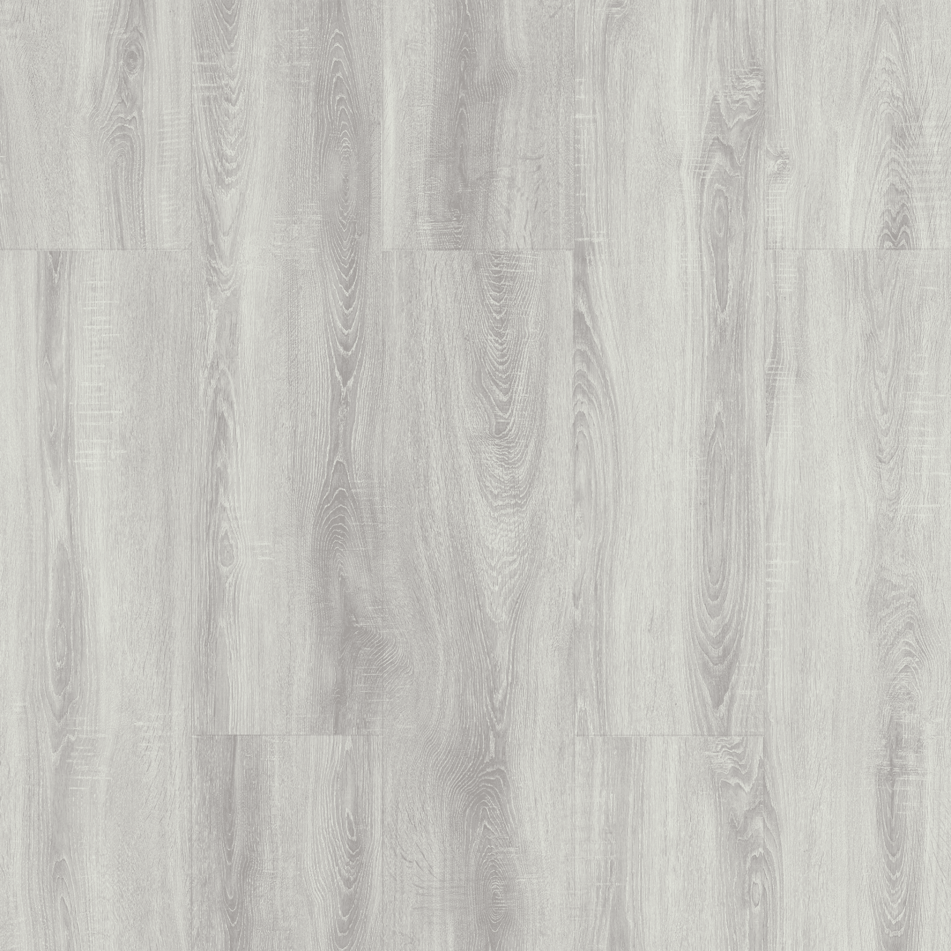 Burgaz Meşe – 5006 2
